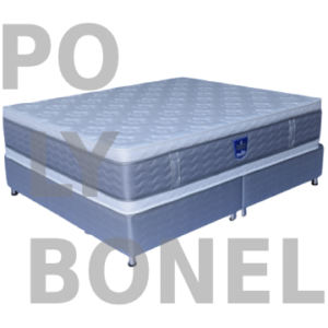 Polybonell